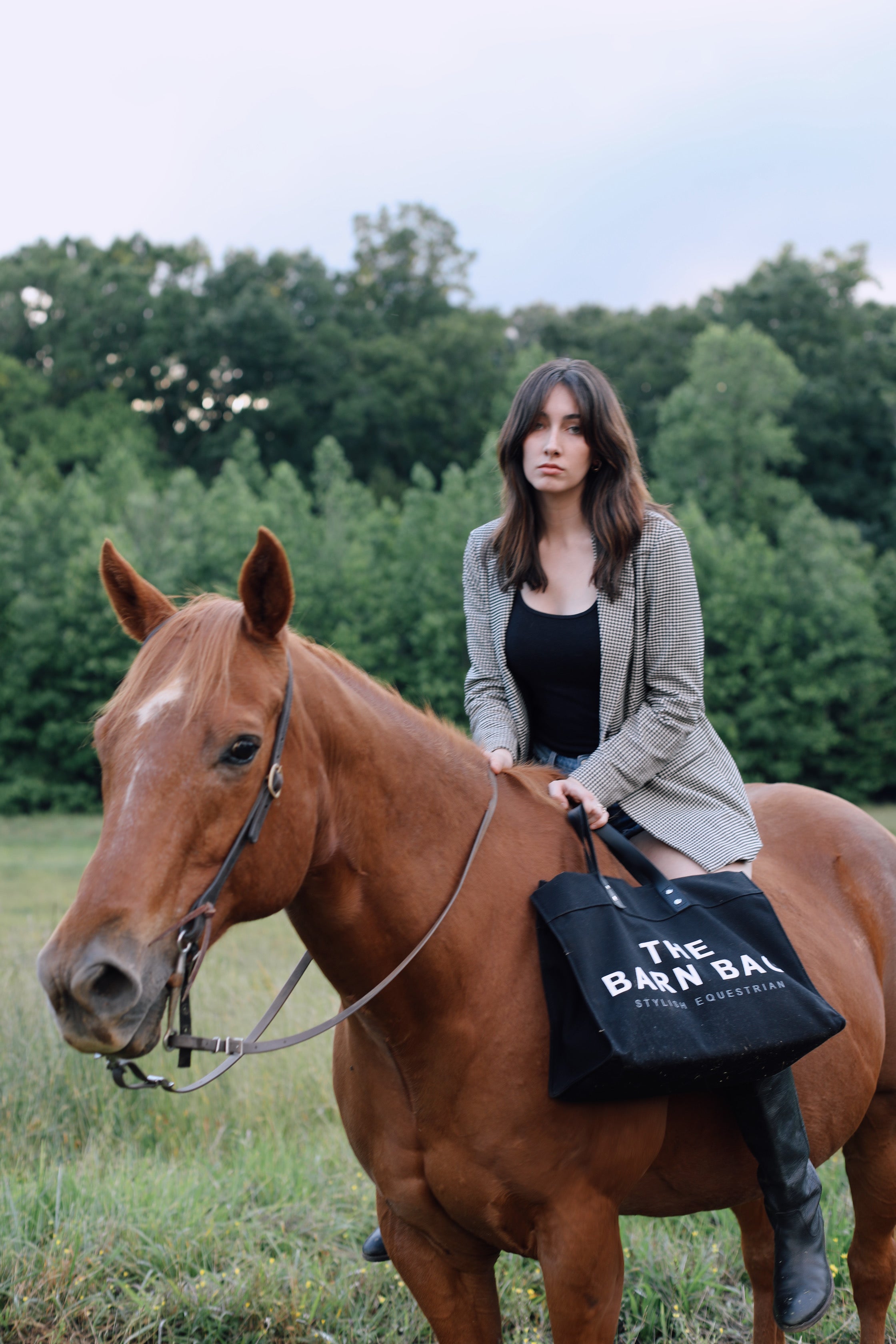stylish equestrian the barn bag canvas tote The Barn Bag Tote by Stylish Equestrian — durable canvas carry-all featuring cheeky front print, genuine leather handles, and two interior side pockets perfectly sized for a champagne bottle. Made in the USA, this equestrian-inspired tote is the ultimate barn and horse show essential.