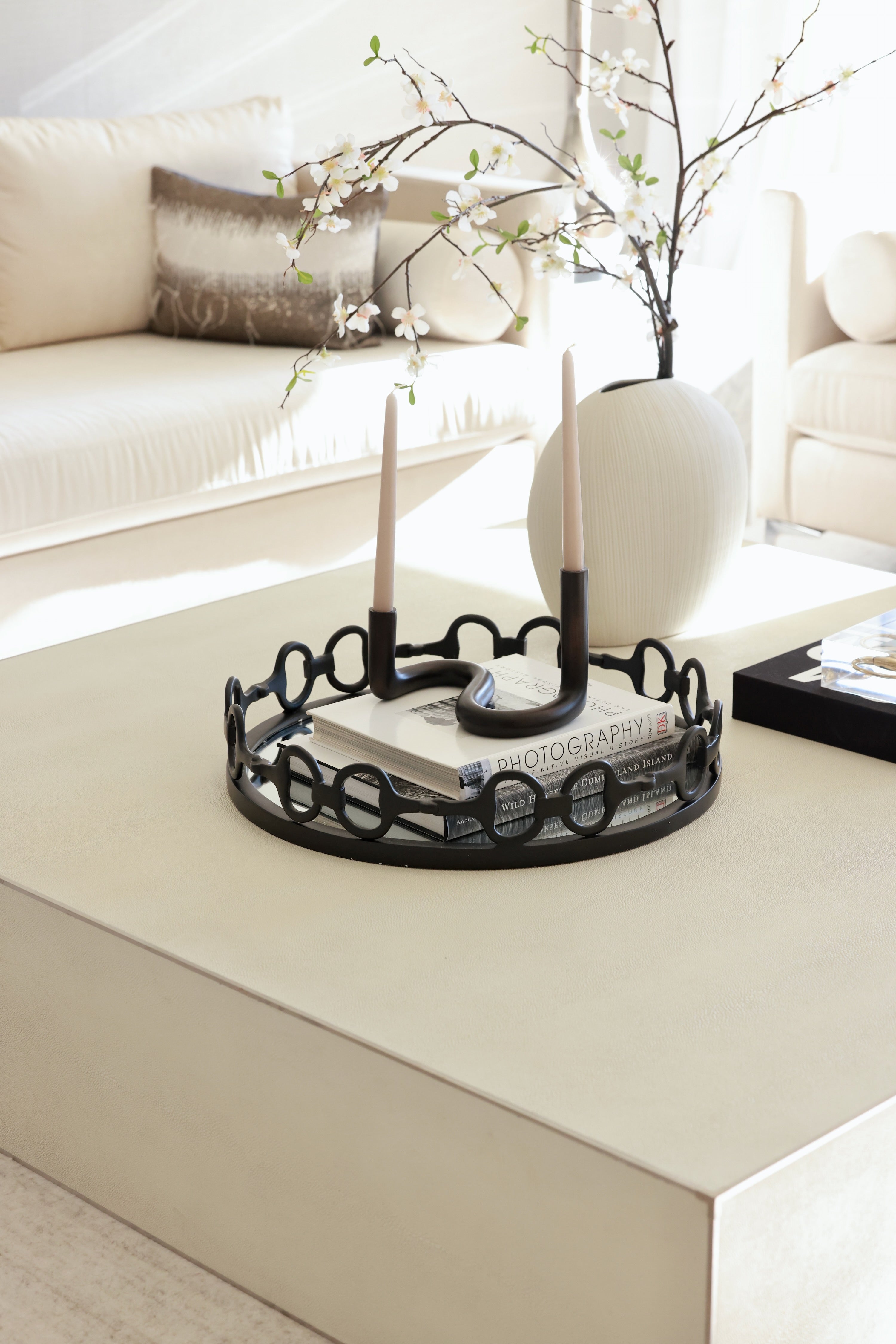 design impex stylish equestrian large black round mirror tray d-ring bit