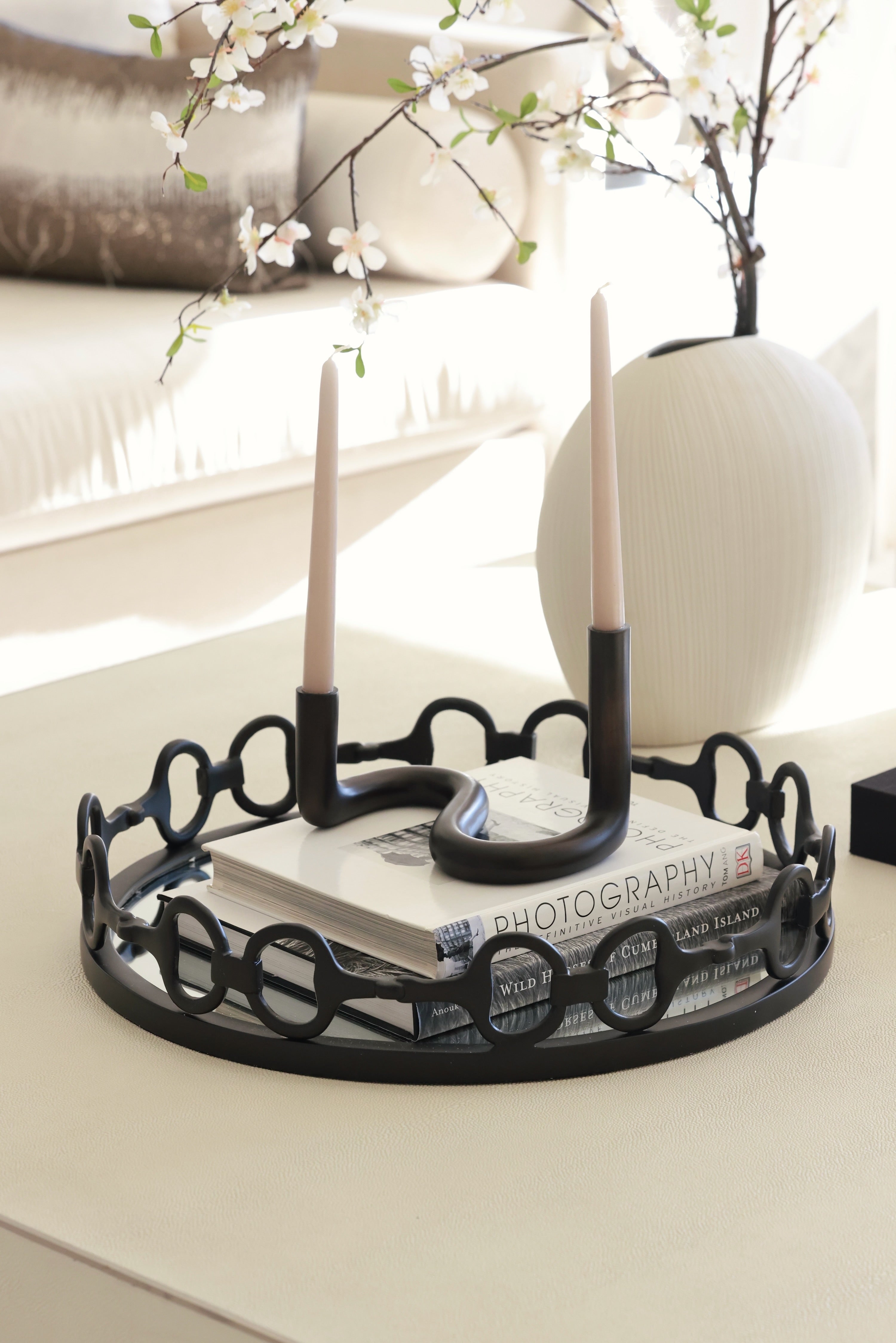 design impex stylish equestrian large gold round mirror tray d-ring bit