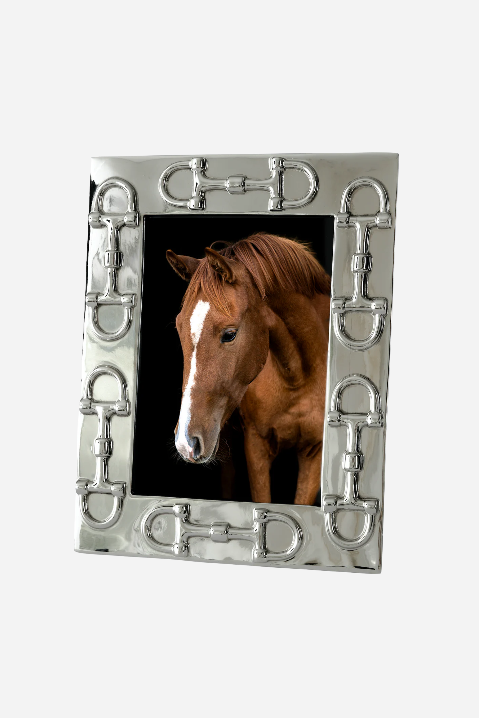 Carson D-Ring Photo Frame - Silver
