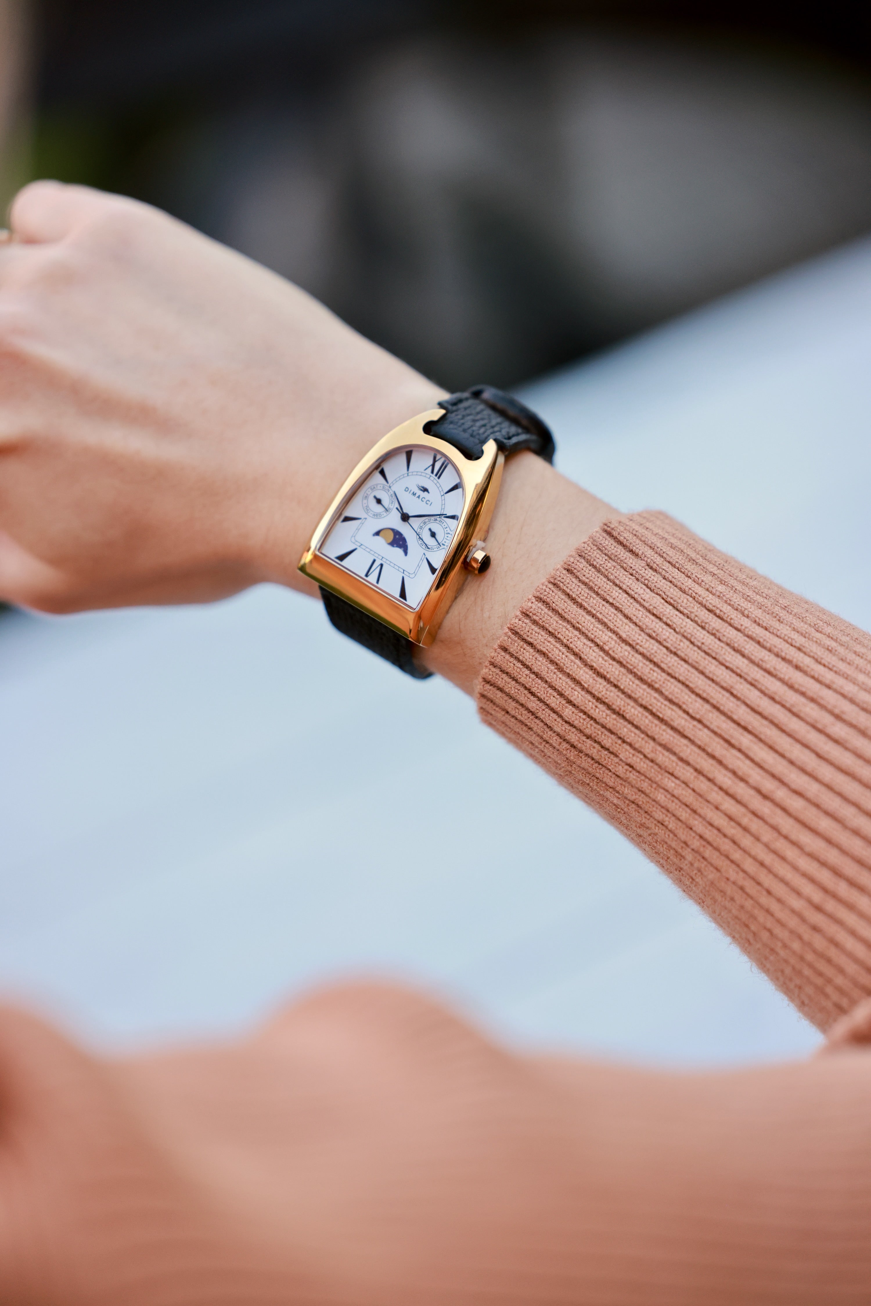 dimacci stylish equestrian deauville stirrup boyfriend watch