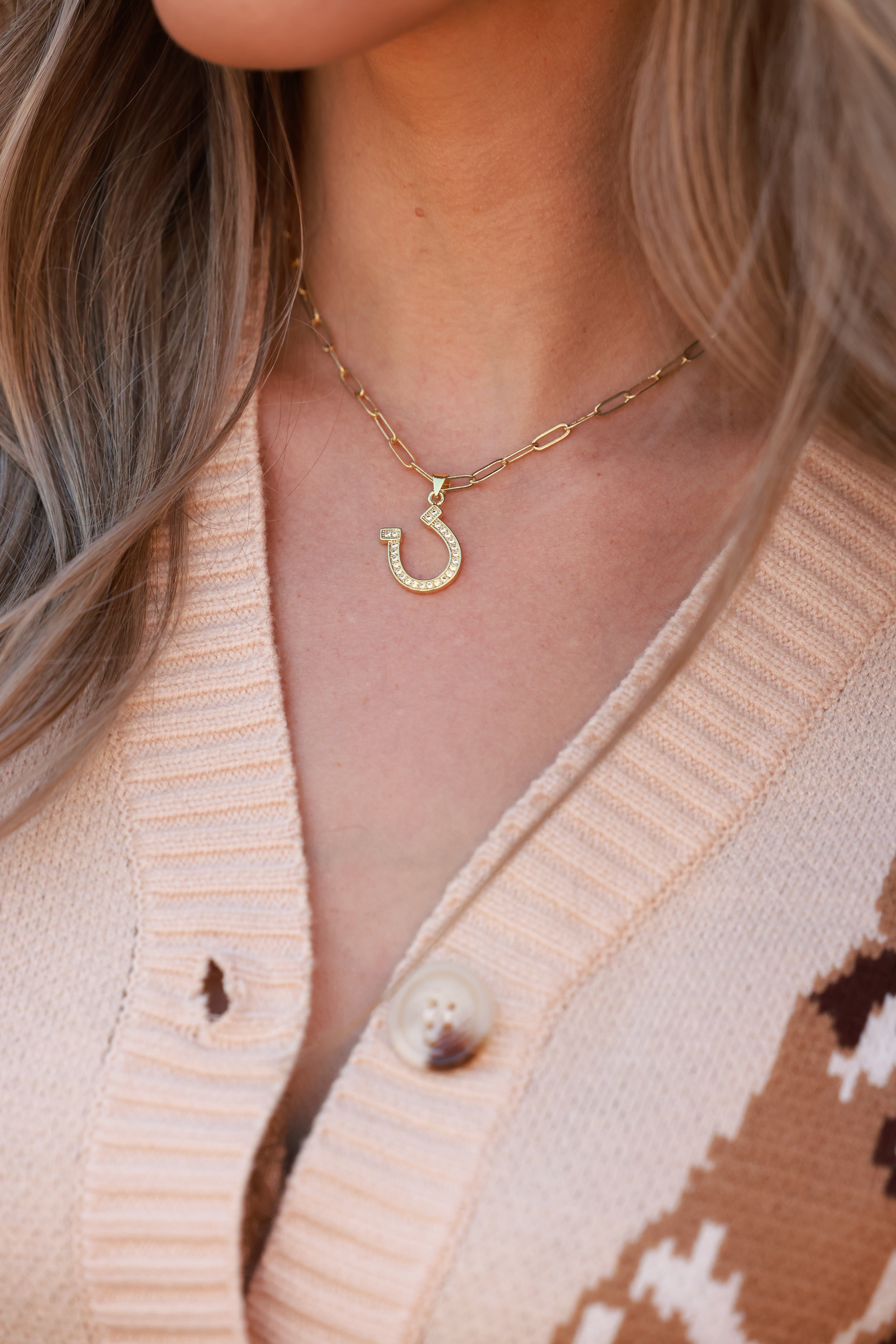 Delicate and dazzling Dion Horseshoe Necklace with a minimalist horseshoe charm suspended from a dainty 16-inch link chain. Perfect for everyday wear.