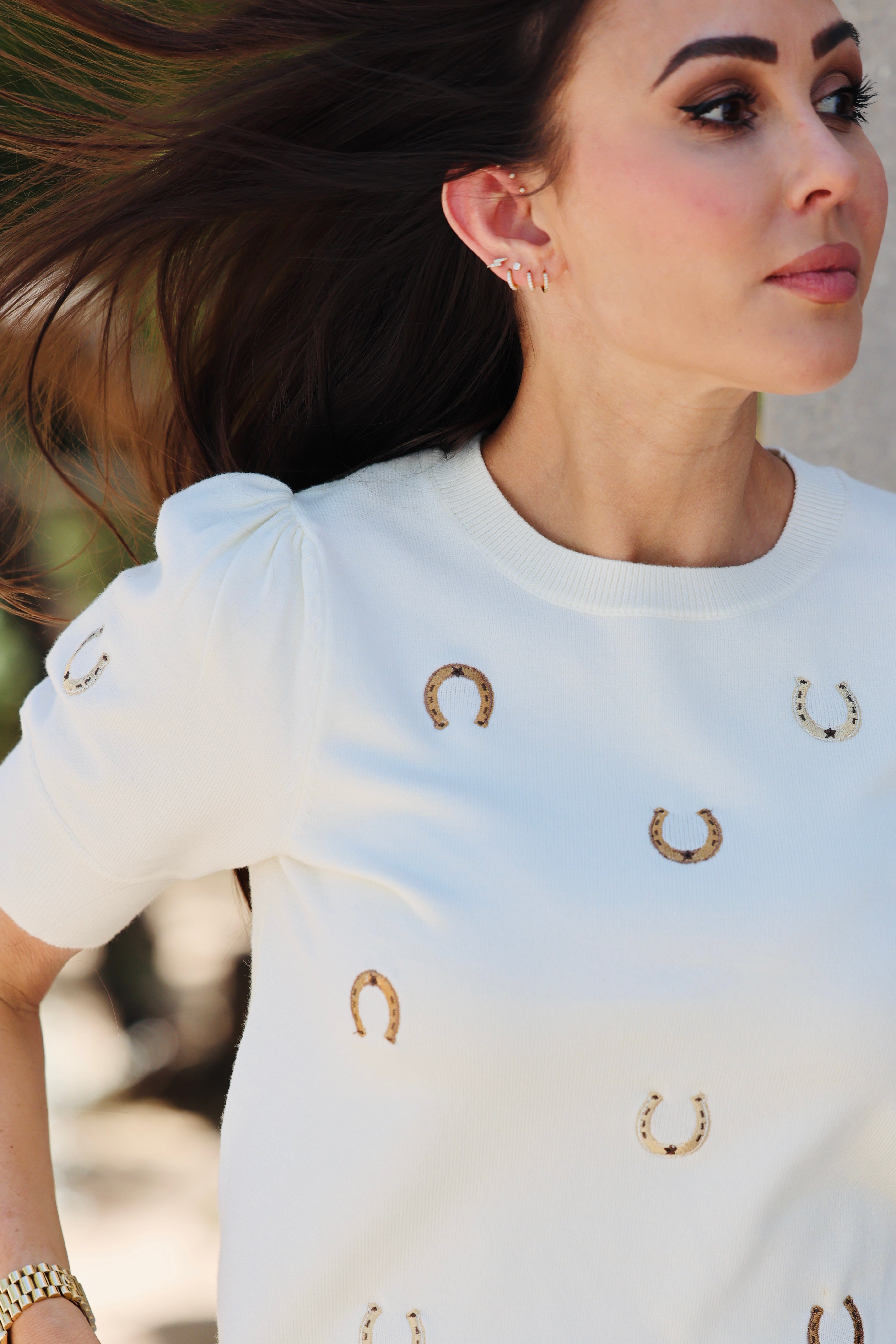 Gilli Round Neck Puff Sleeve Embroidered Horseshoes Knit Top