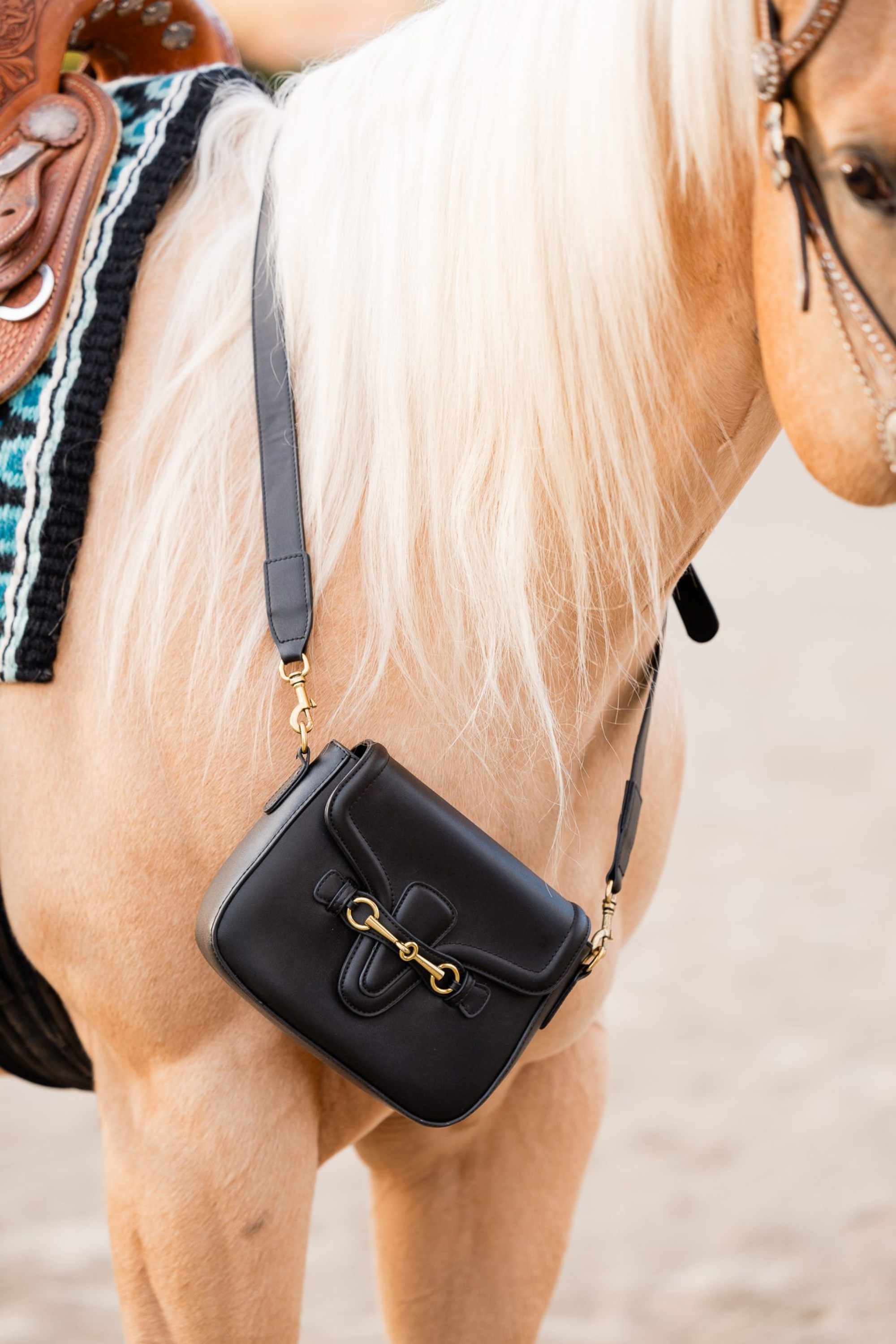 stylish equestrian hanna vegan crossbody with horse bit and gucci stripe strap