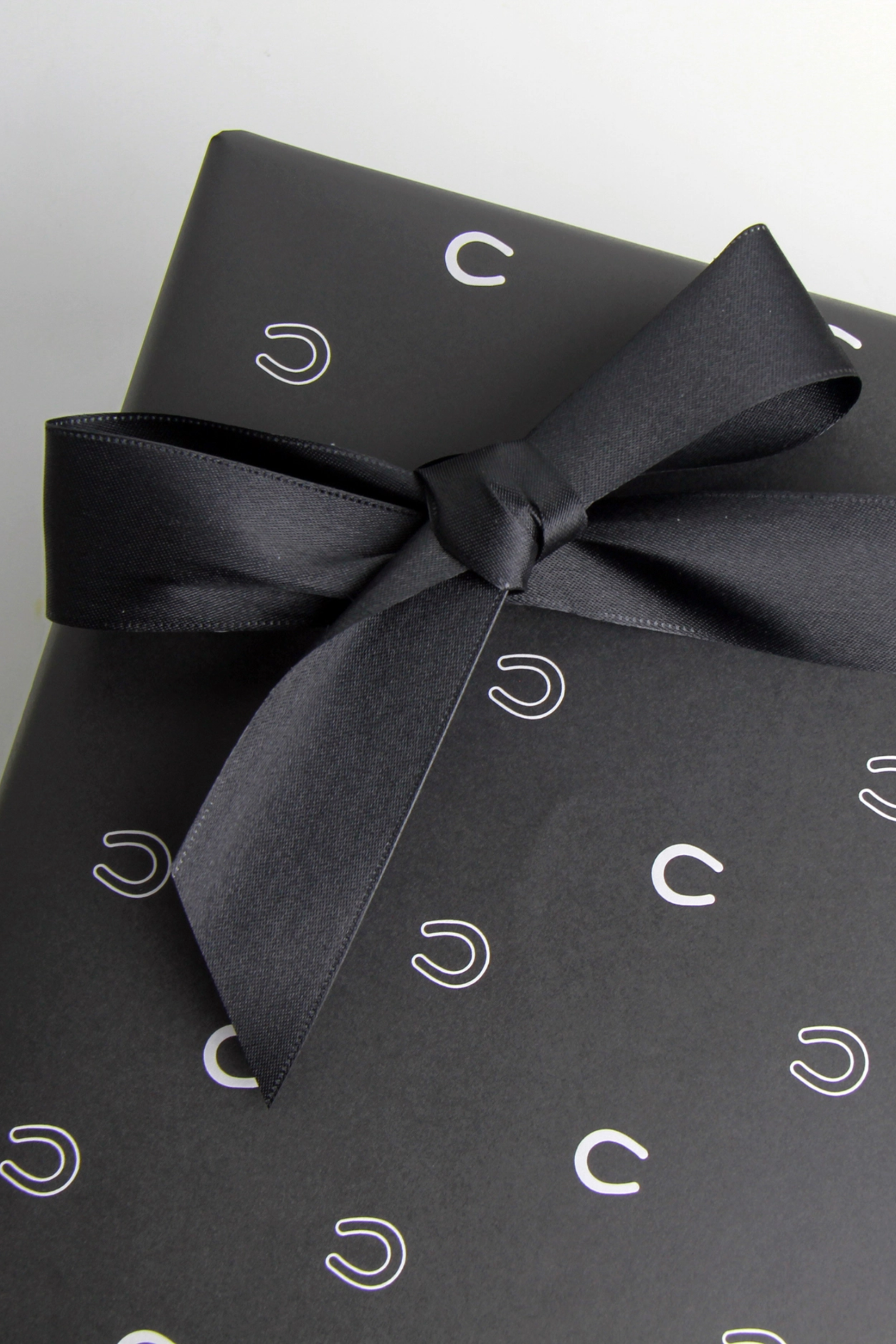 Snow Shoes Gift Wrap Sheets