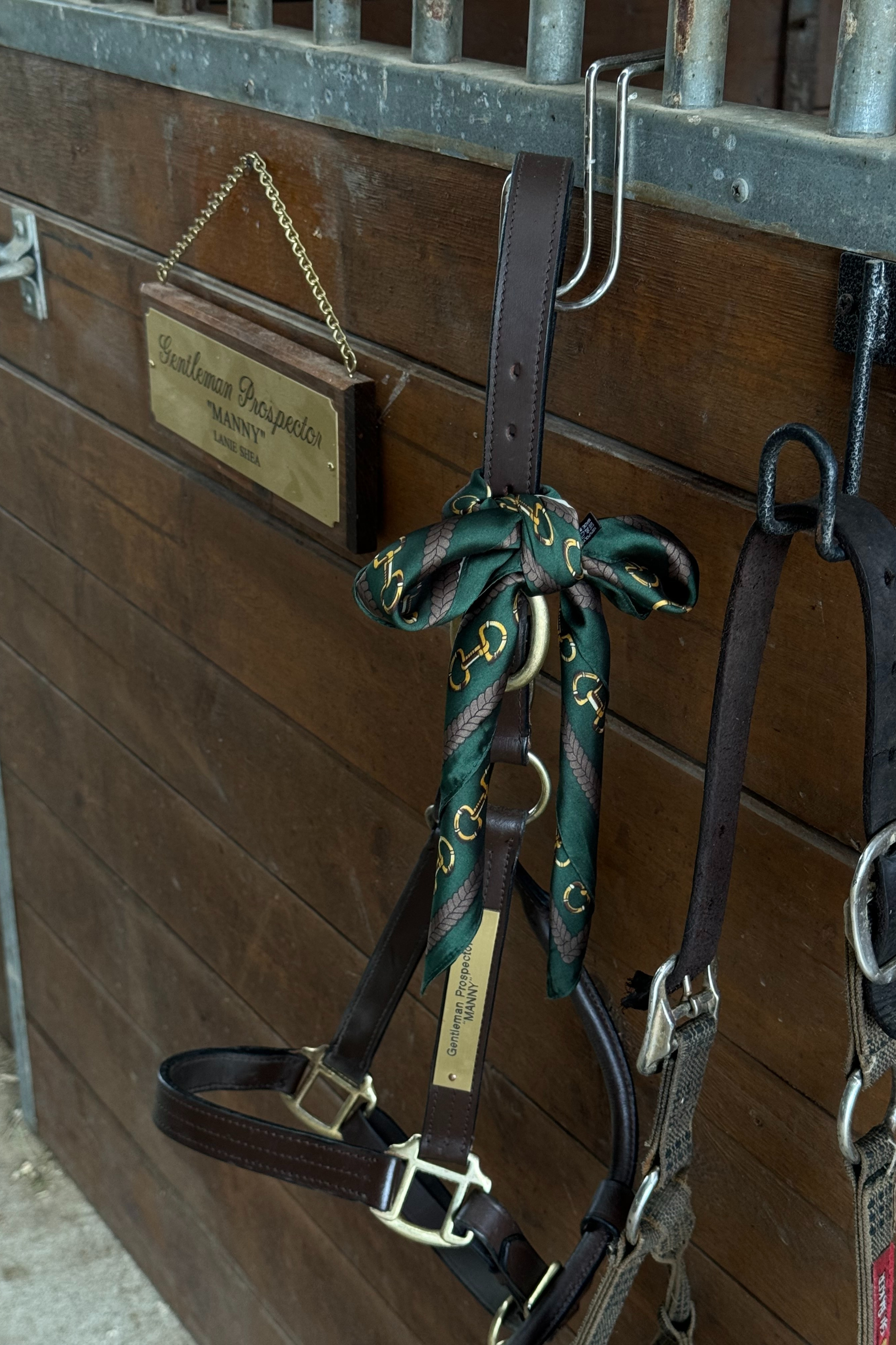 stylish equestrian jolie horse bit print scarf