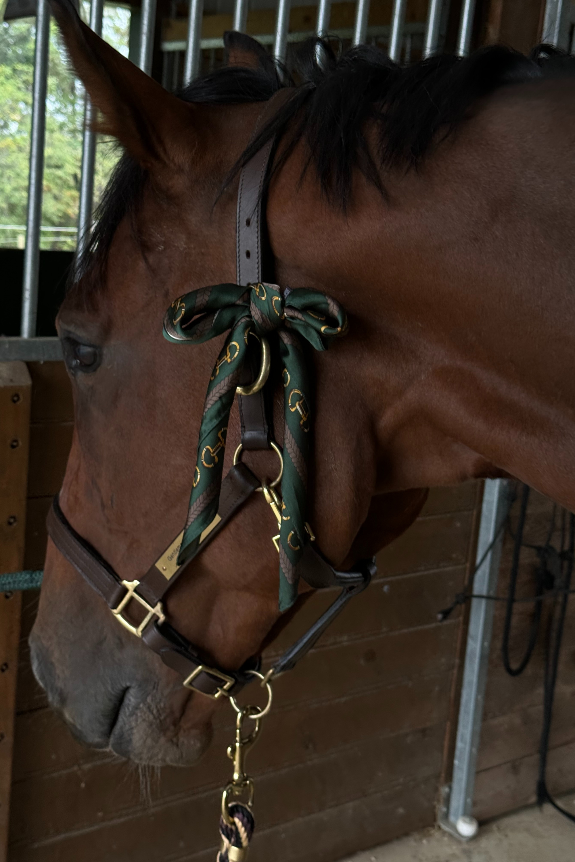 stylish equestrian jolie horse bit print scarf
