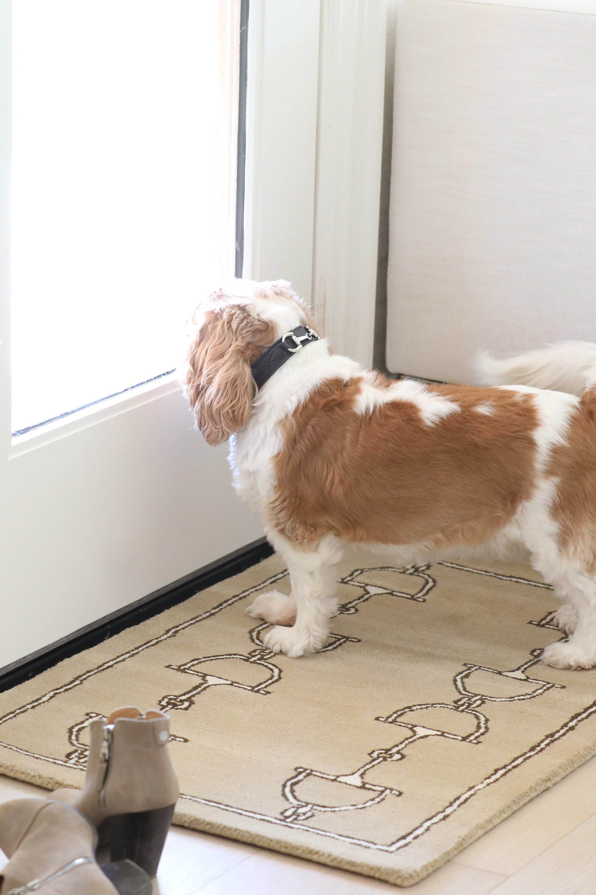 Luxor D-Ring Rug - Taupe