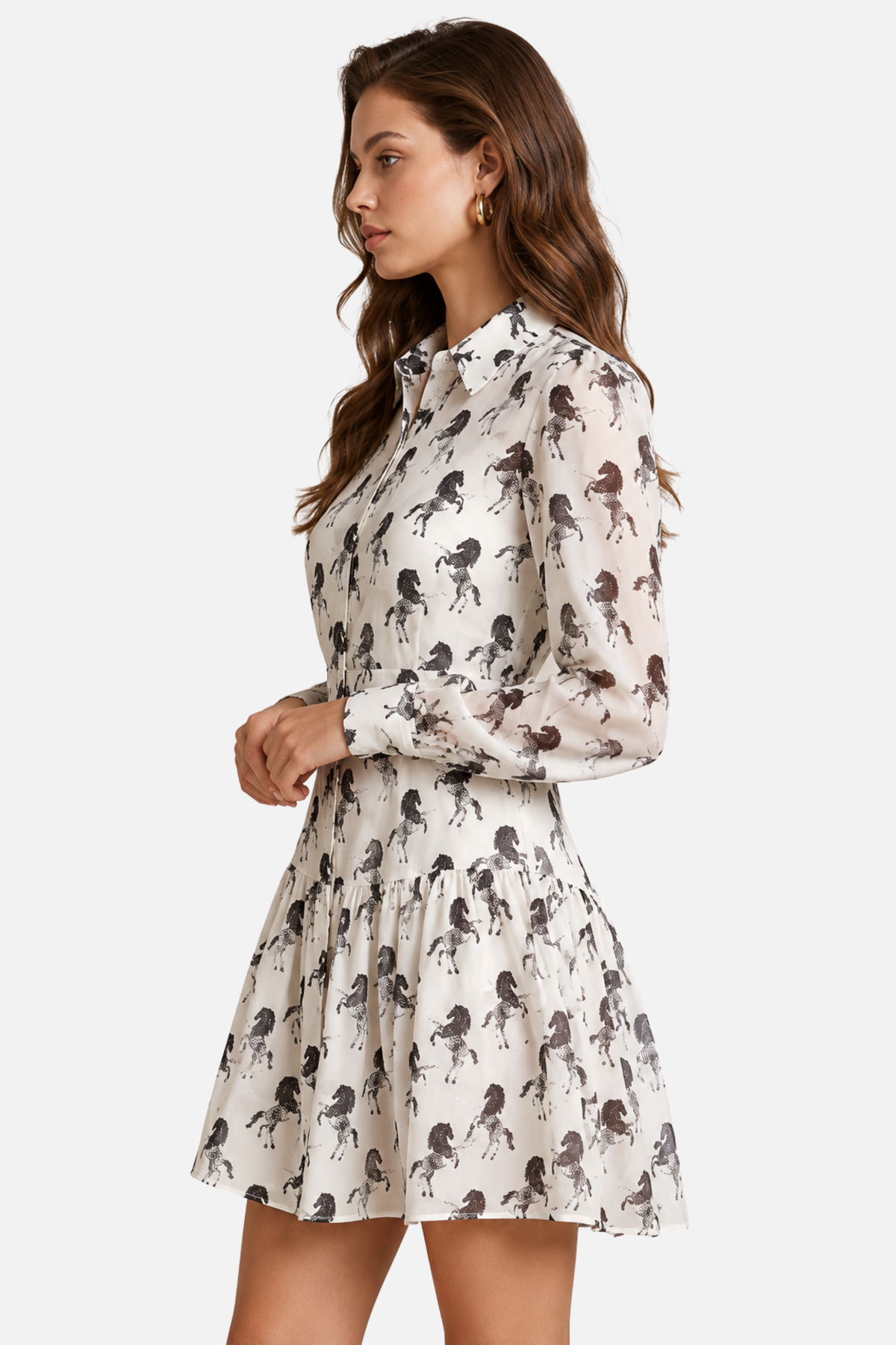Rein & Radiance Shirt Dress