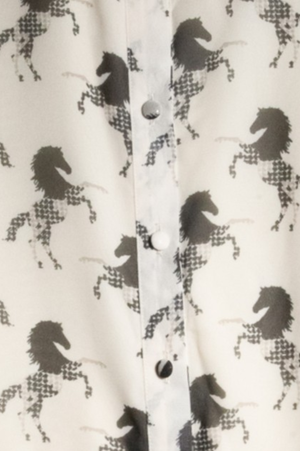 Rein & Radiance Shirt Dress