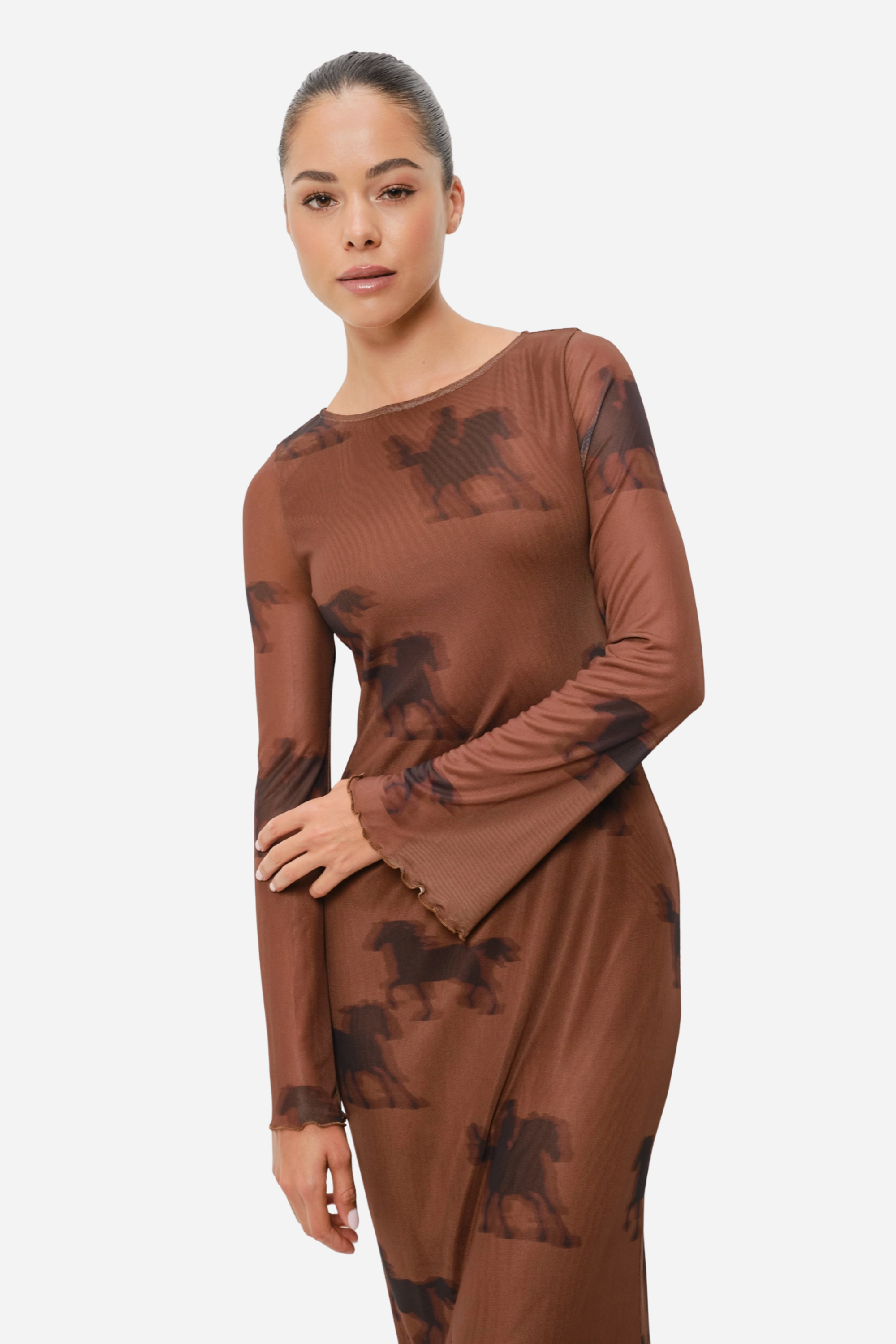 Oana Horse Mesh Dress