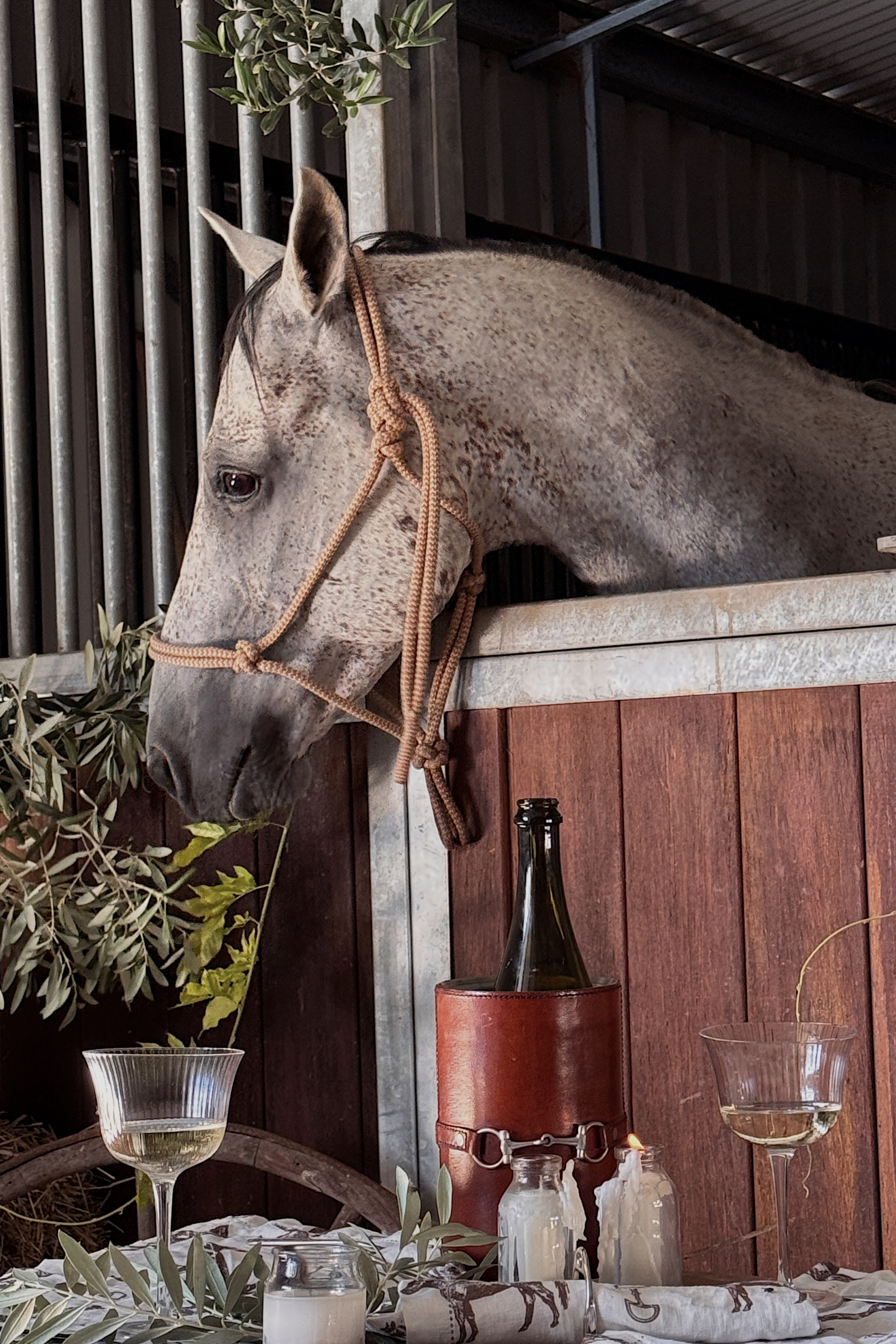 arthur court stylish equestrian horse bit leather wine bucket cooler