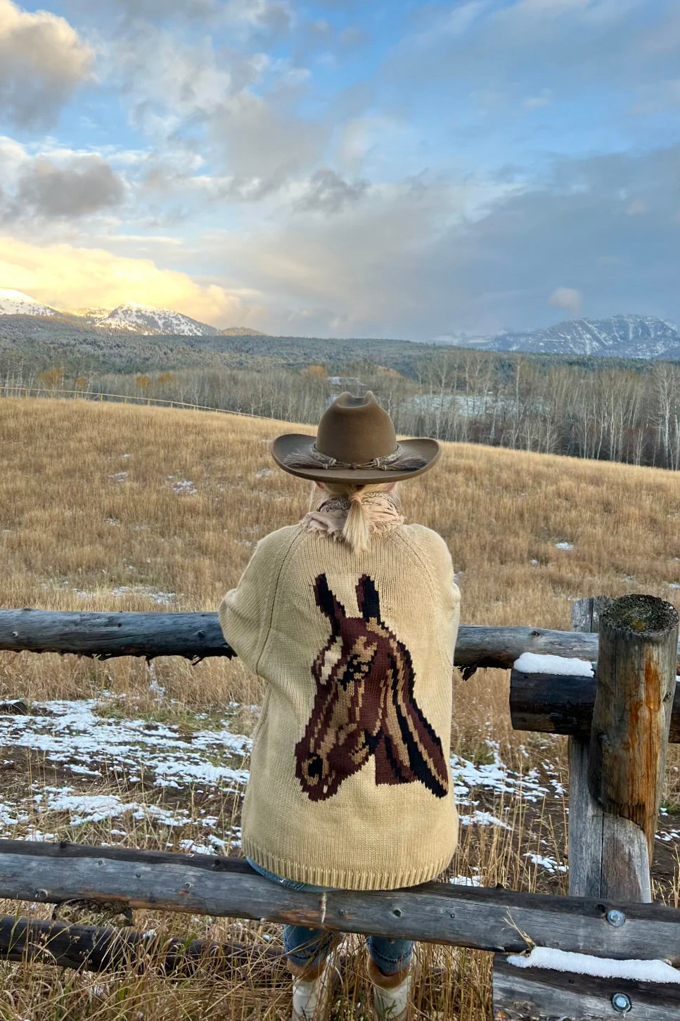 pink pineapple, stylish equestrian horse Varsity cardigan, Horse graphic sweater, Equestrian knitwear, Western statement cardigan, Camel horse cardigan