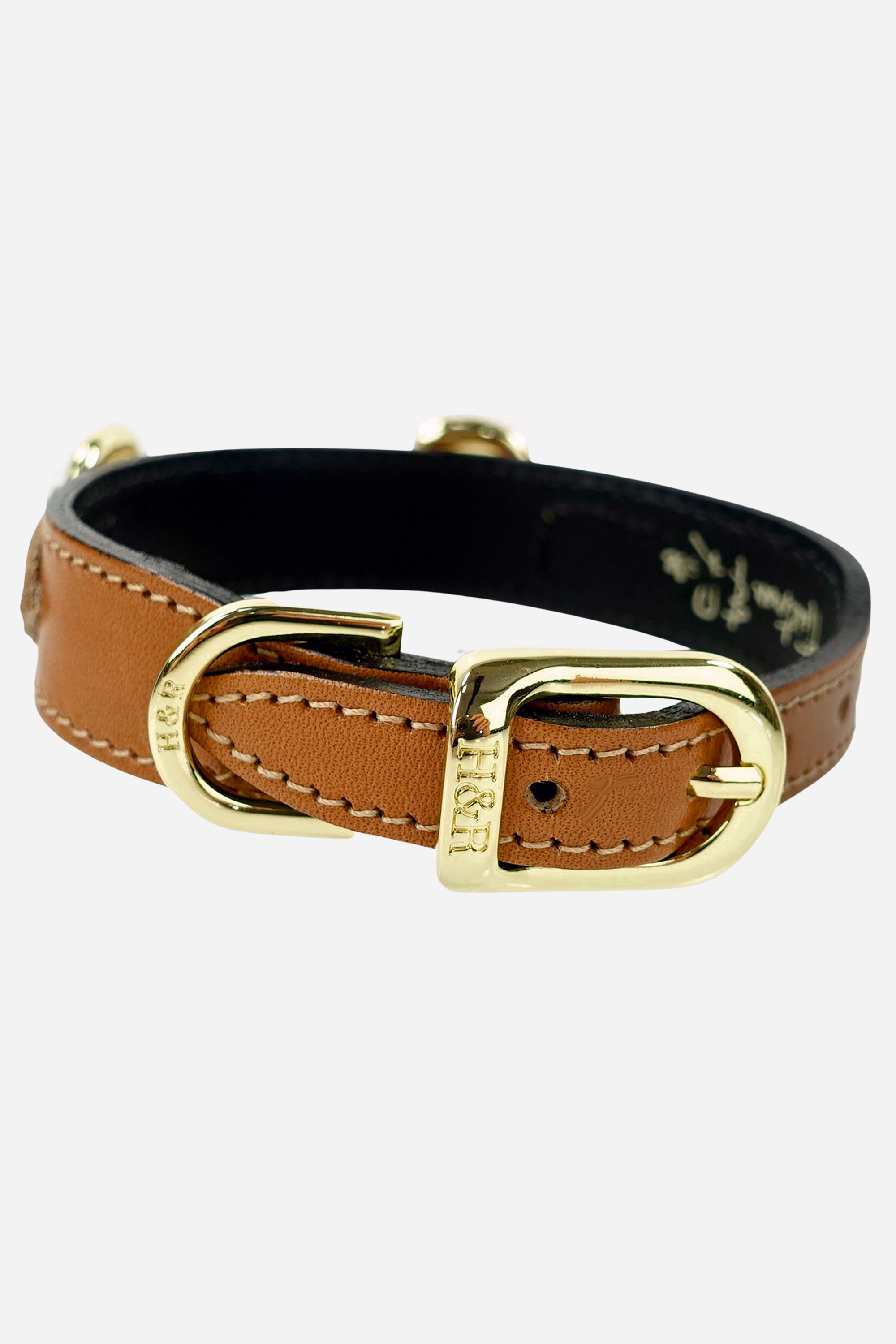 Stylish Equestrian Belmont Dog Collar 100% Italian Leather