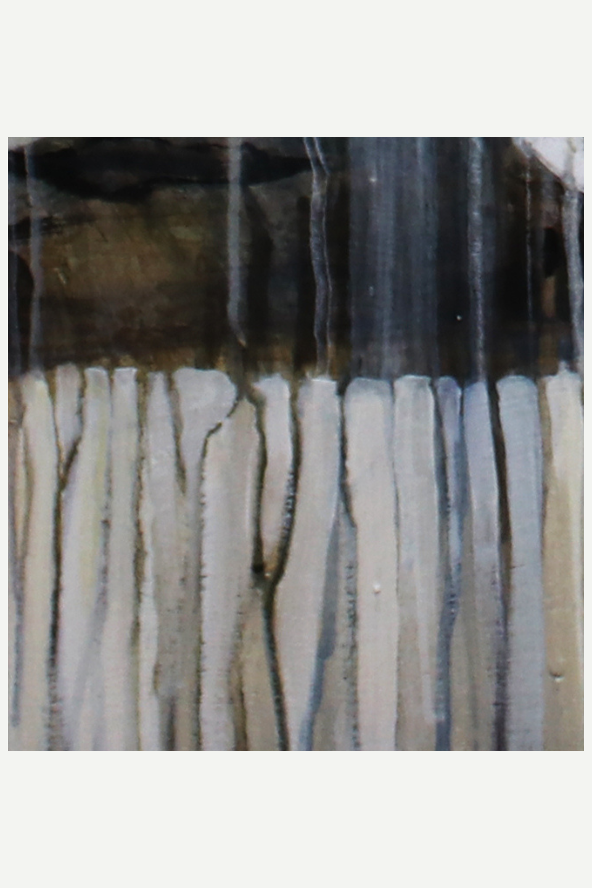 vanessa whittell stylish equestrian harmonious canvas print