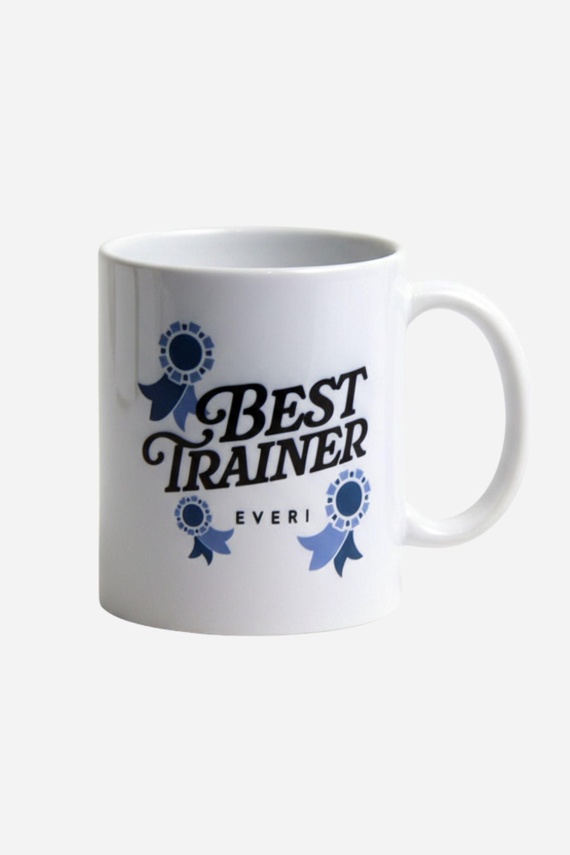 Best Trainer Ever Mug