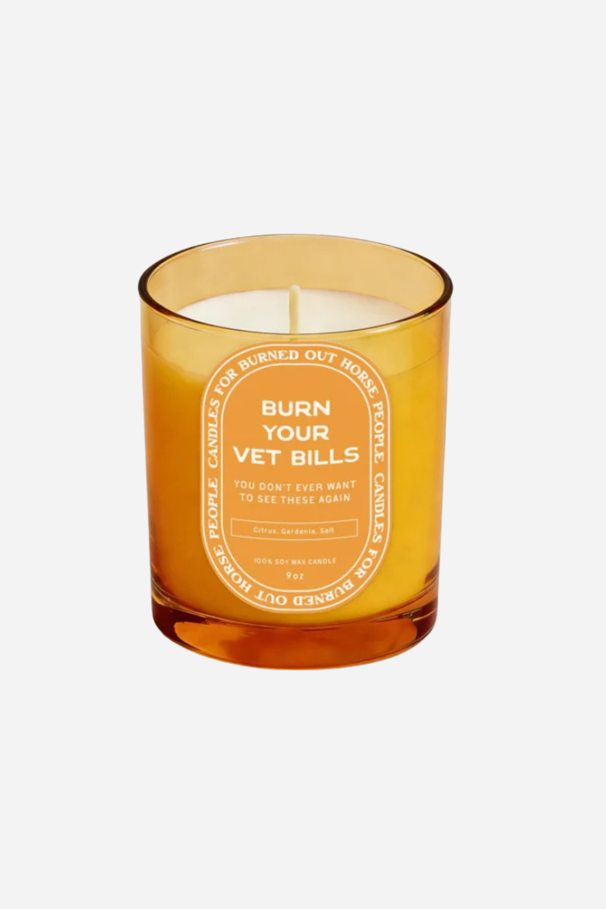 Burn Your Vet Bills Candle
