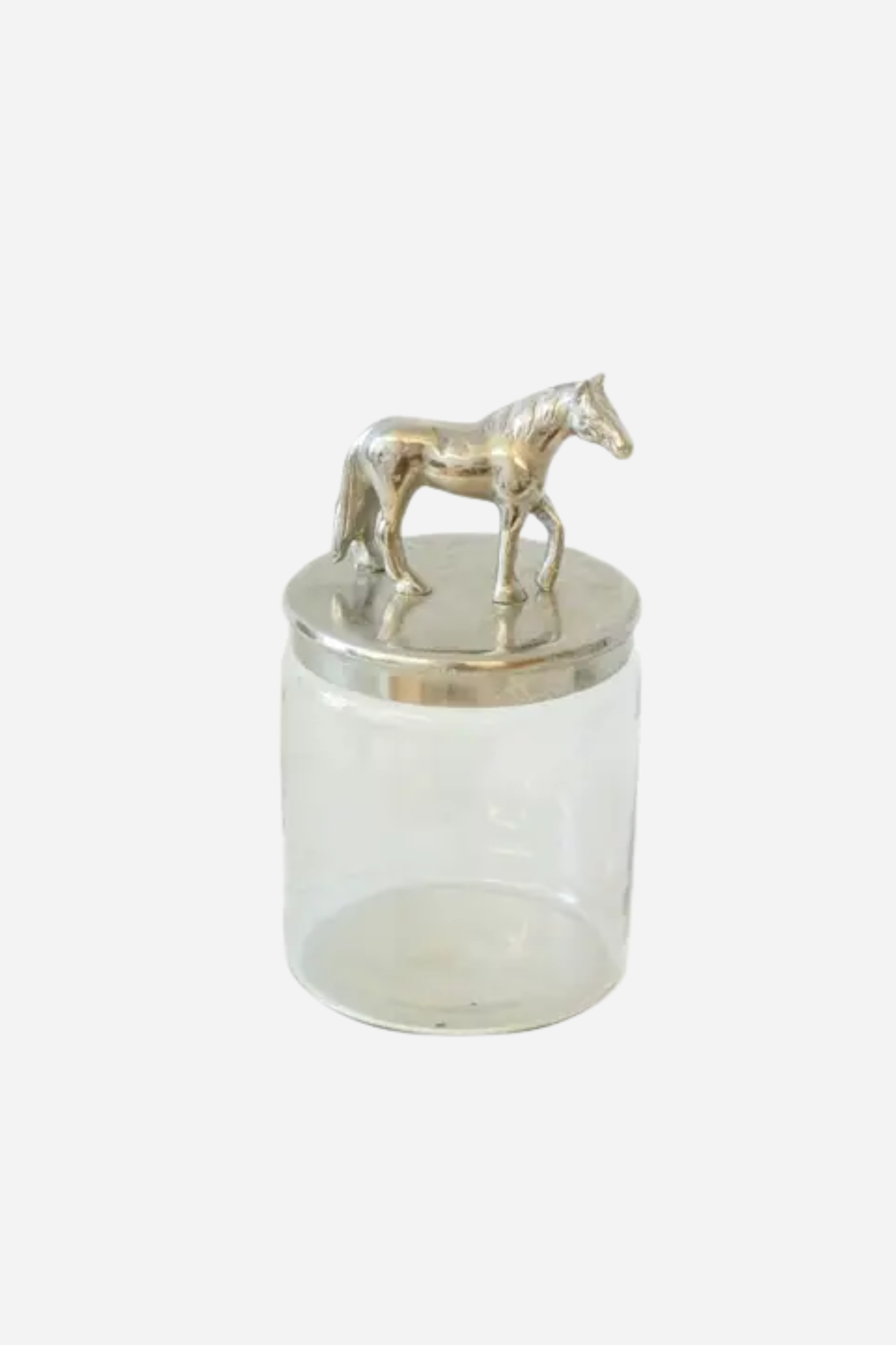Nicolette Glass Jar - Silver