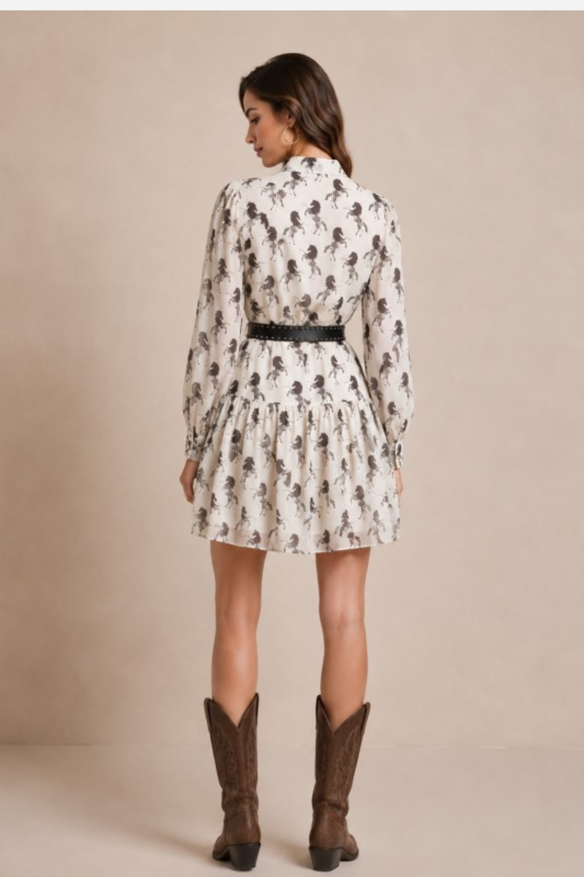 Rein & Radiance Shirt Dress