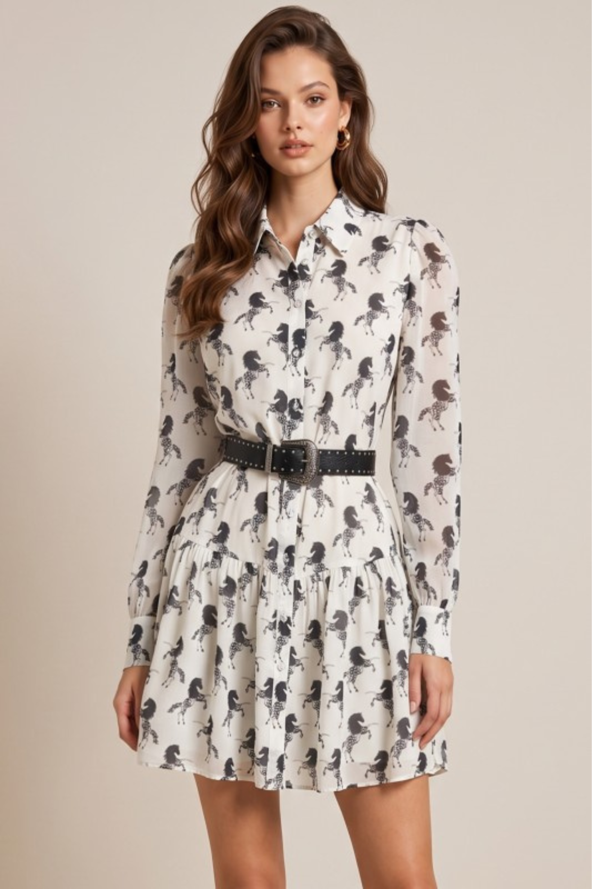 Rein & Radiance Shirt Dress
