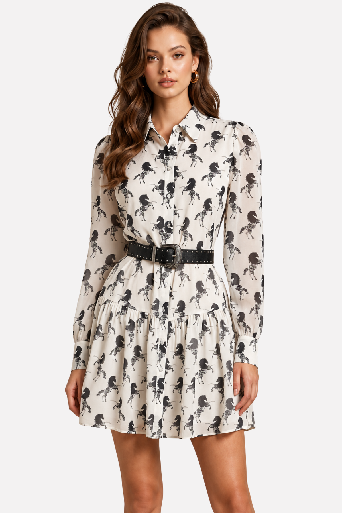 Rein & Radiance Shirt Dress