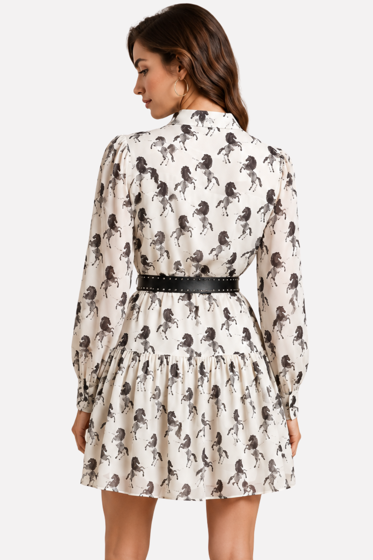 Rein & Radiance Shirt Dress