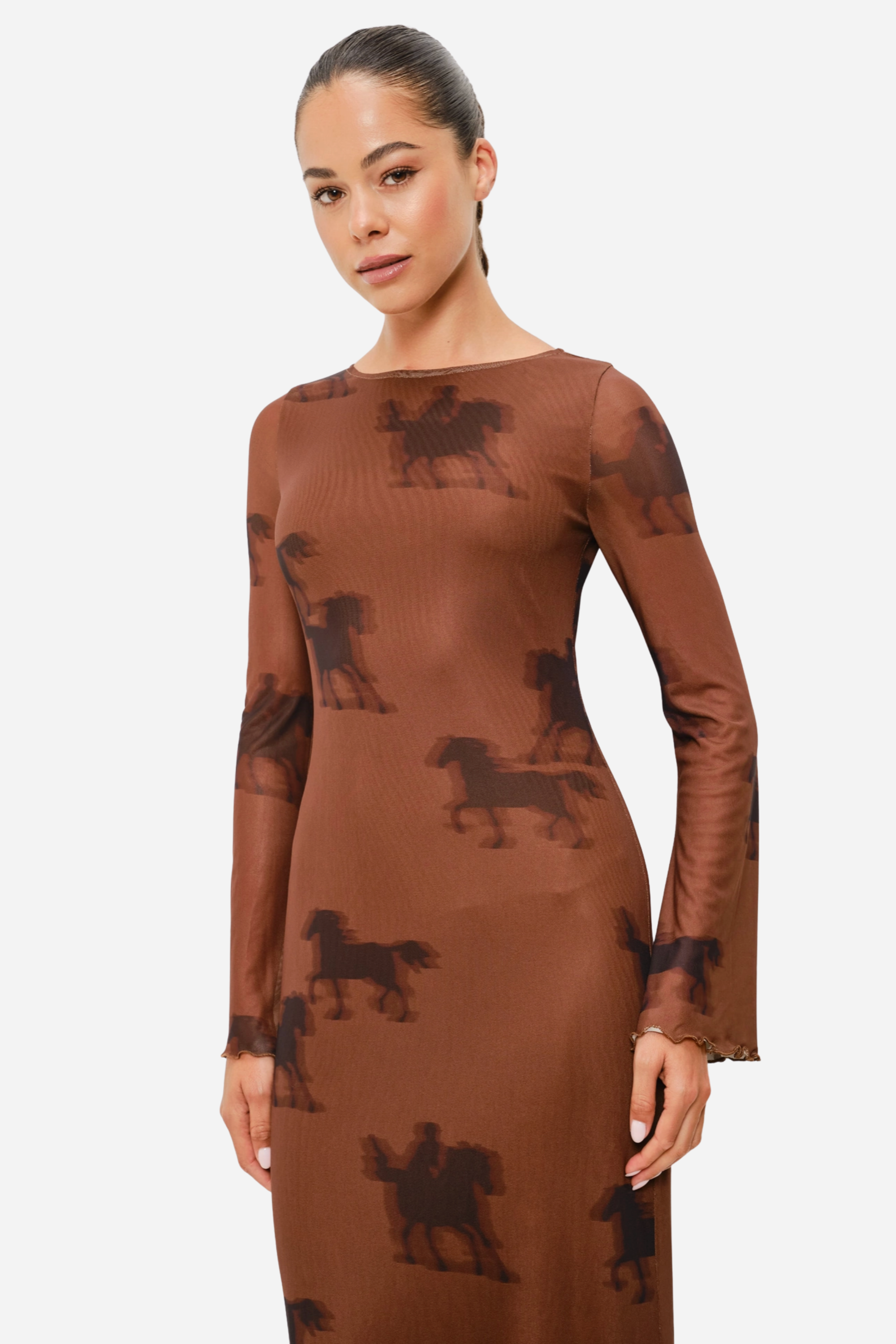Oana Horse Mesh Dress