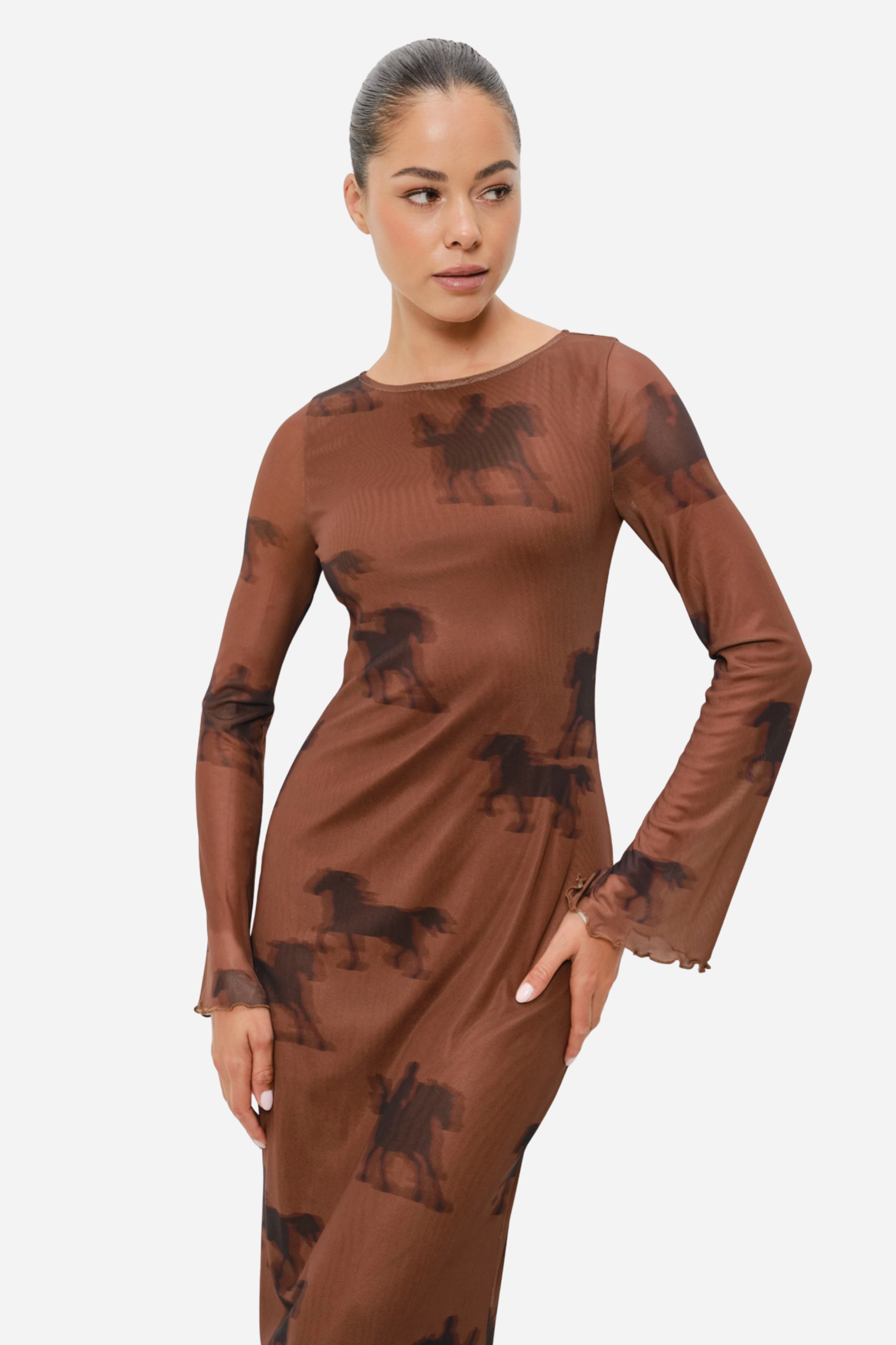 Oana Horse Mesh Dress
