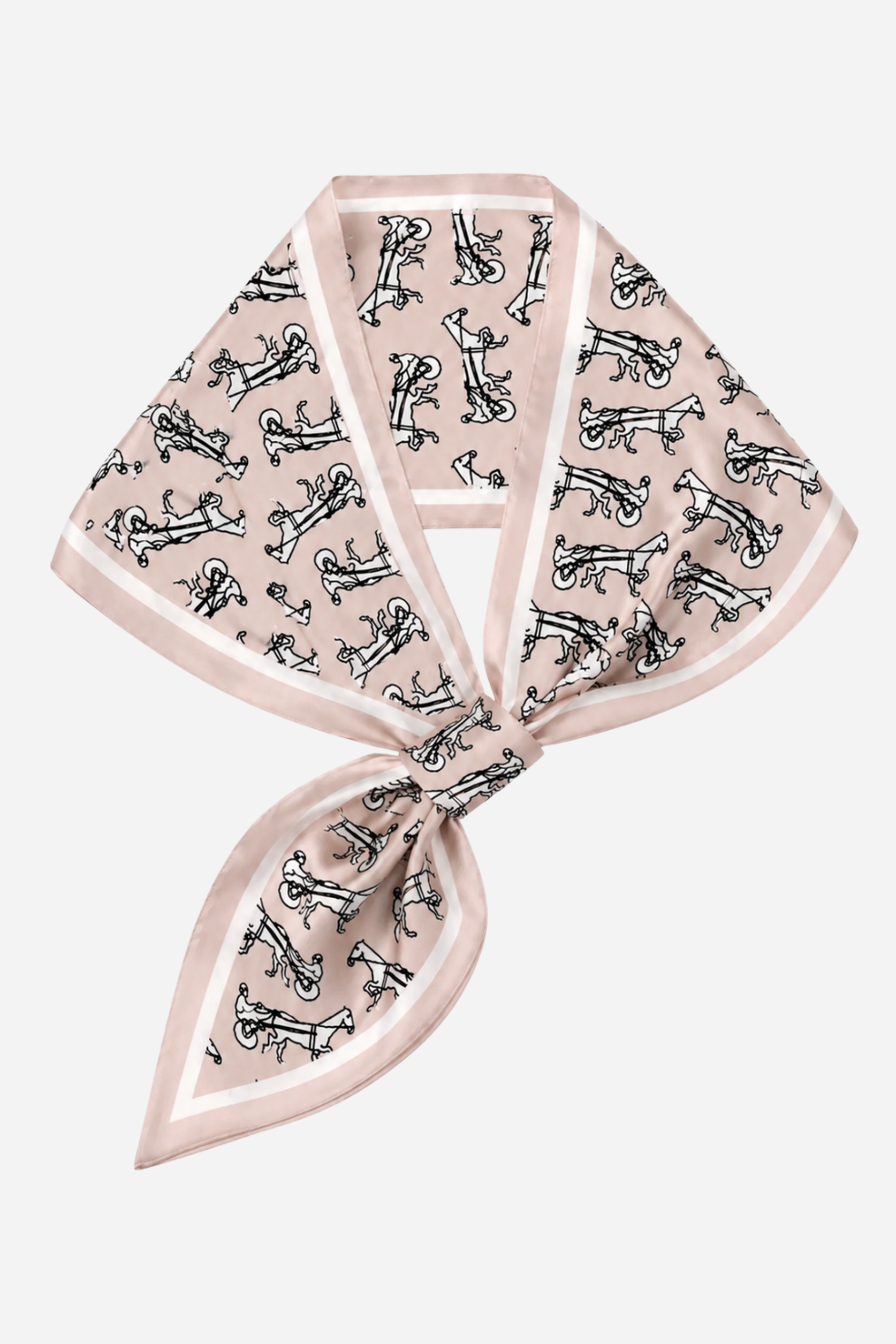 Shelbs Loop Scarf - Blush