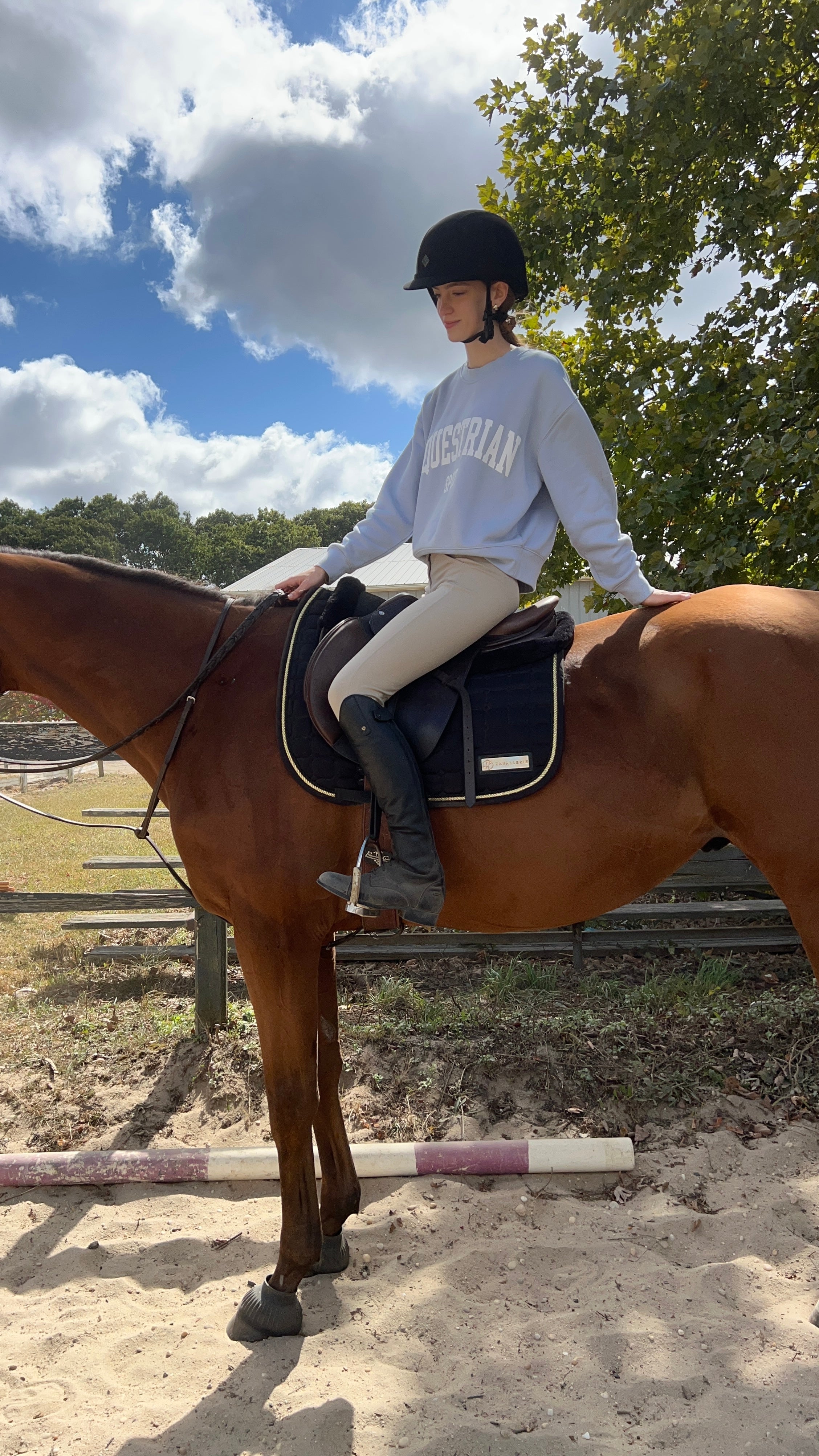 Equestrian Sport Sweatshirt - Powder