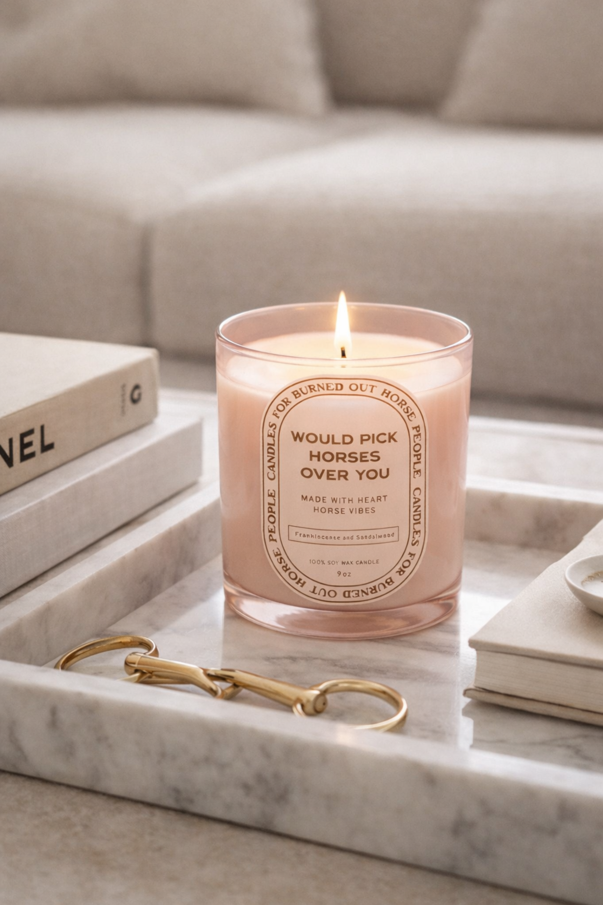 Would Pick Horses Over You Candle