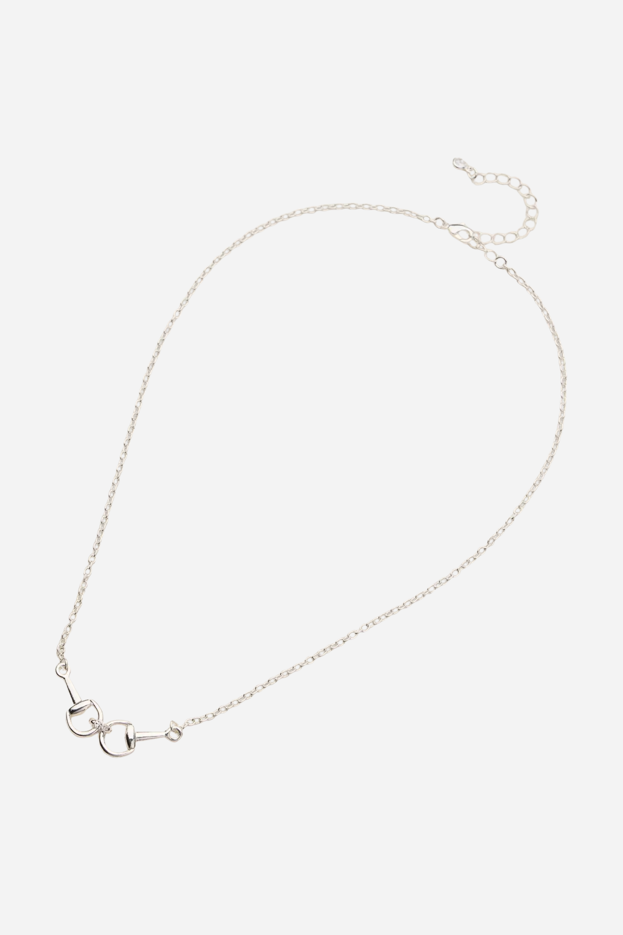 Silver necklace on a white background - equestrian inspired jewelry, horse girl accessory, horseshoe pendant necklace, dainty equestrian jewelry, small gifts for horse lovers