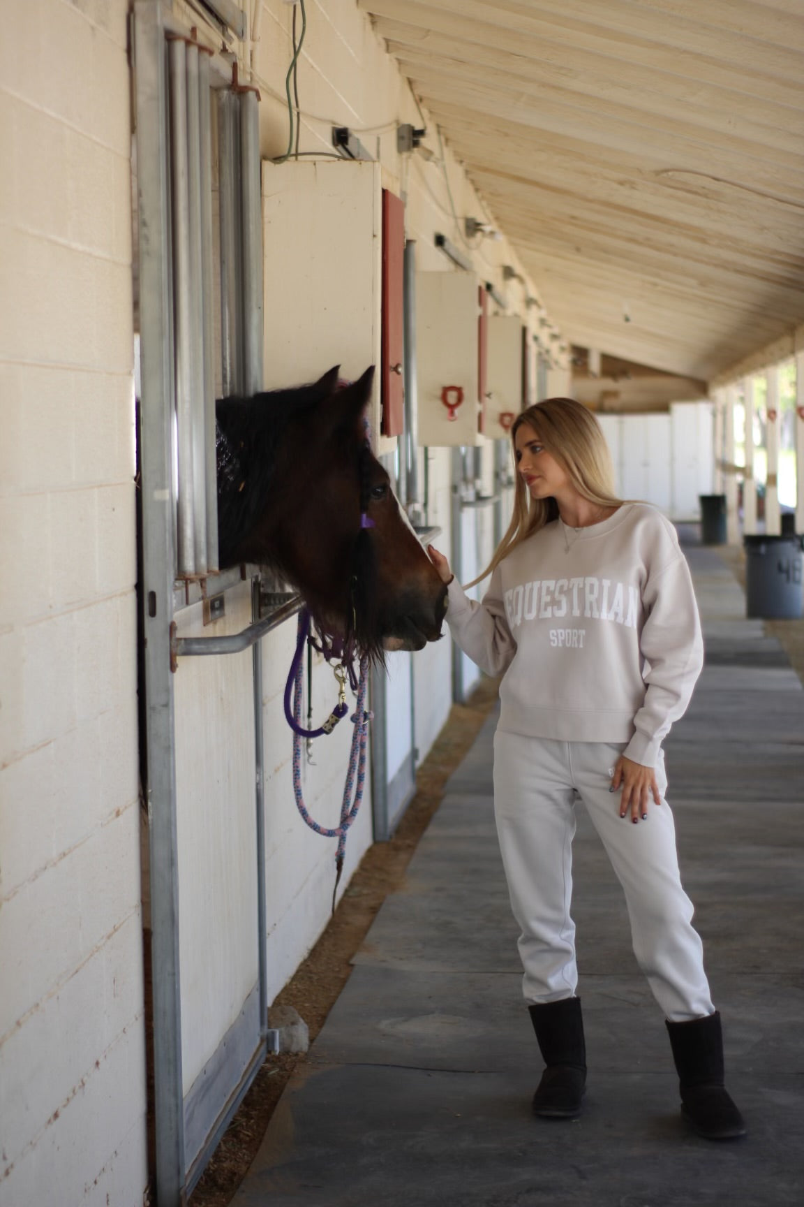 as colour stylish equestrian equestrian sport sweatshirt