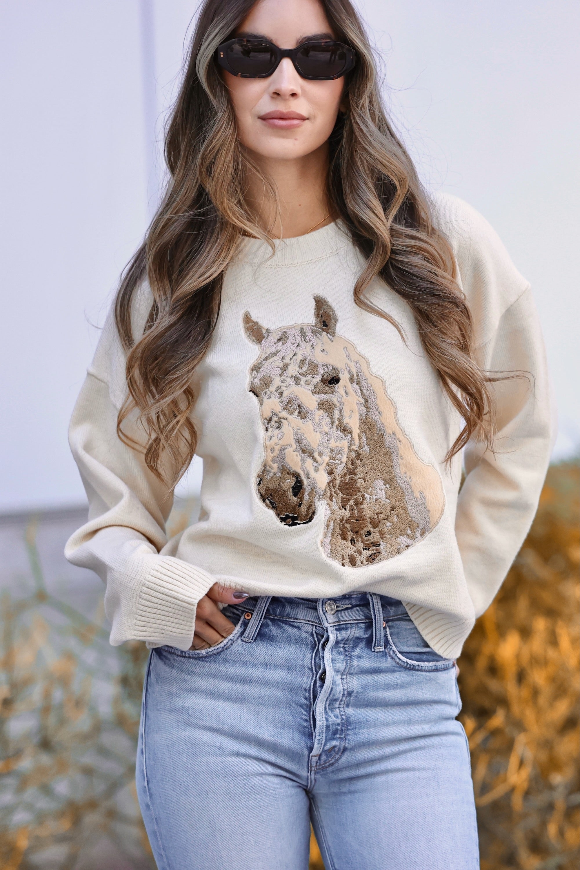 bns stylish equestrian nicole embroidered horse head sweater