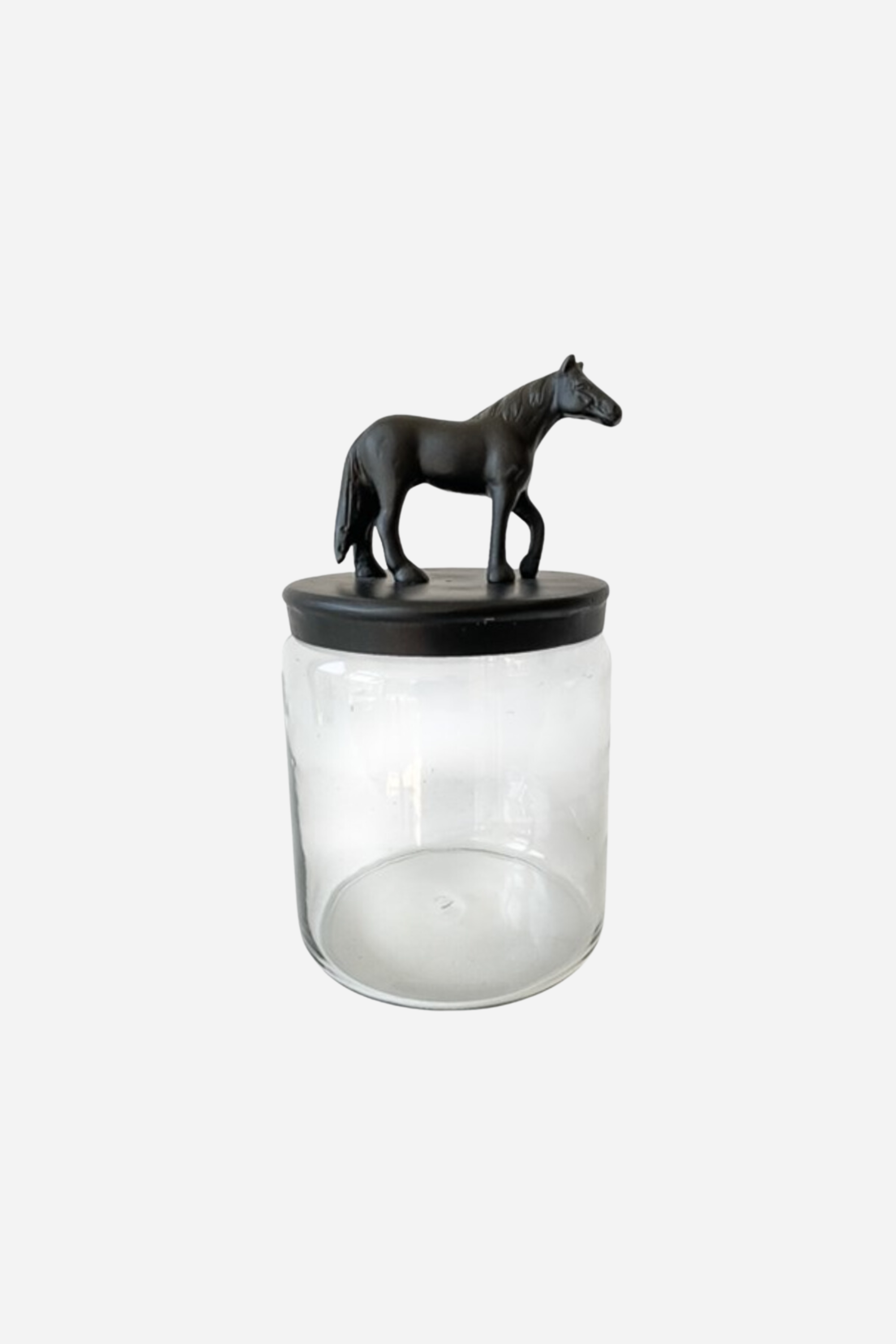 Etched Horse Head Lidded Glass Mason Jar with striped straw #A44ET