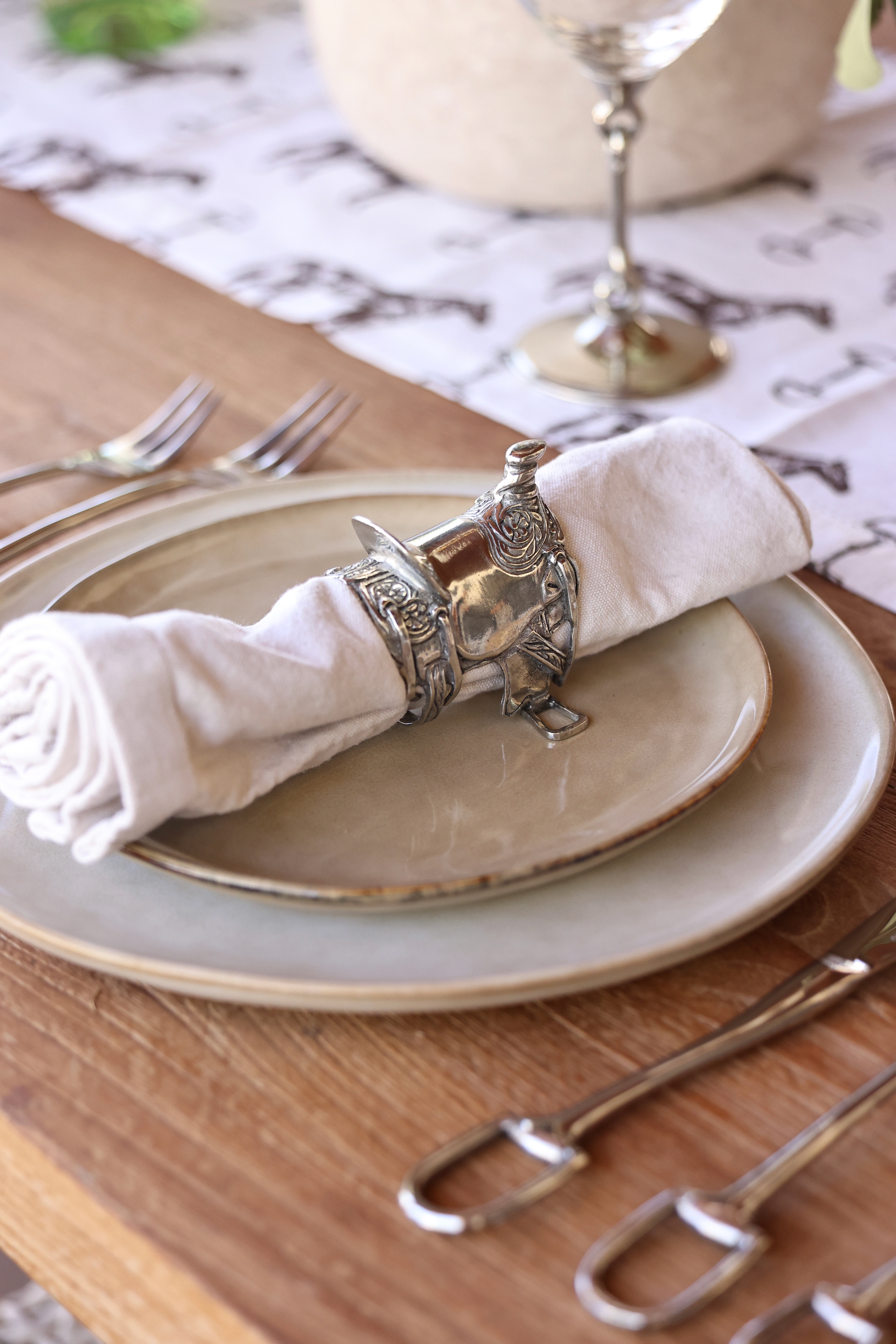 Western Napkin Ring Set