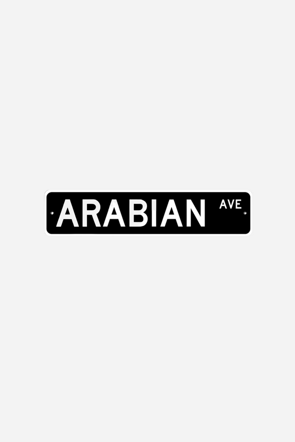 stylish equestrian arabian ave street sign black and white