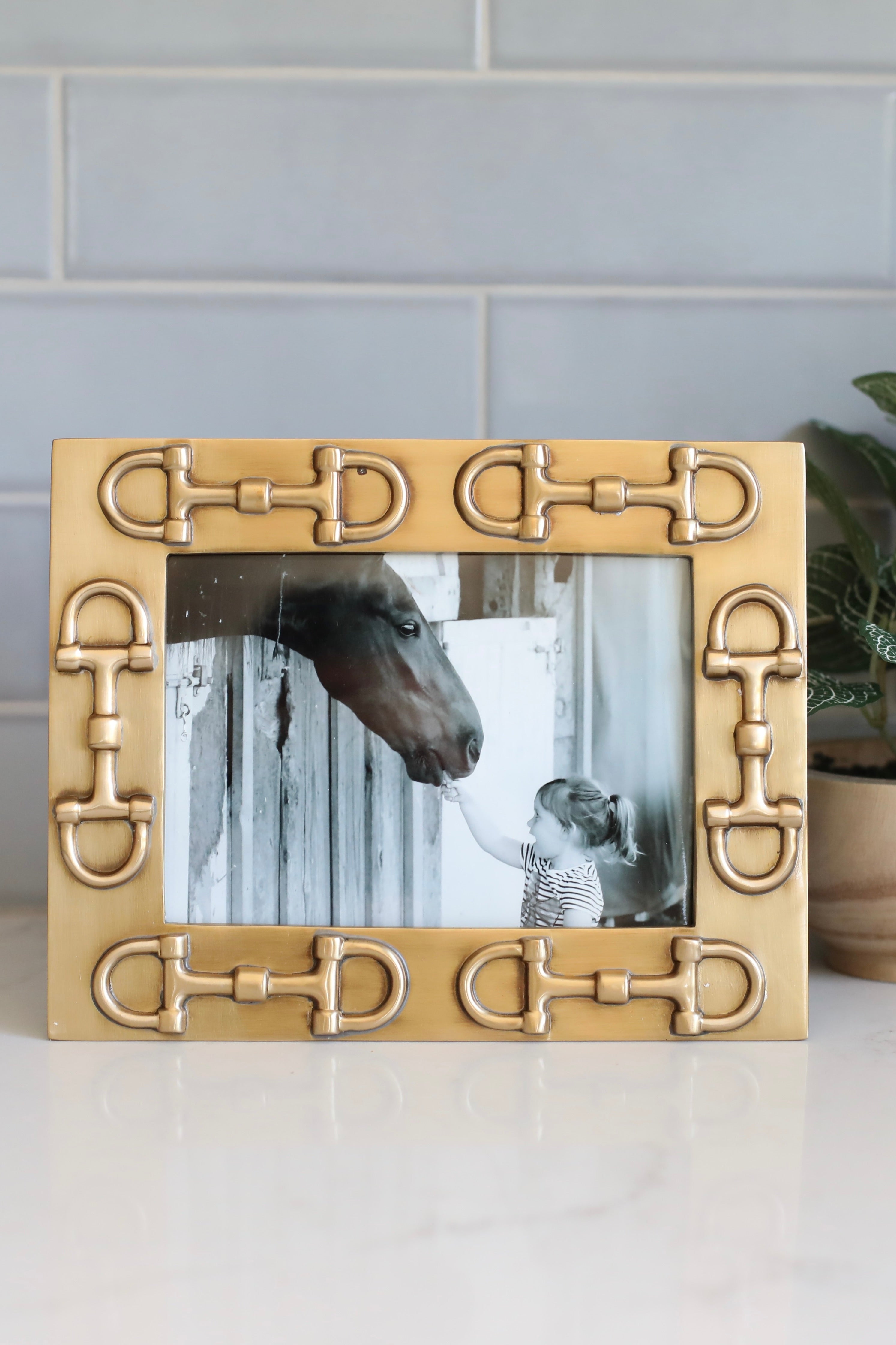 adamsbro stylish equestrian carson d-ring bit photo frame