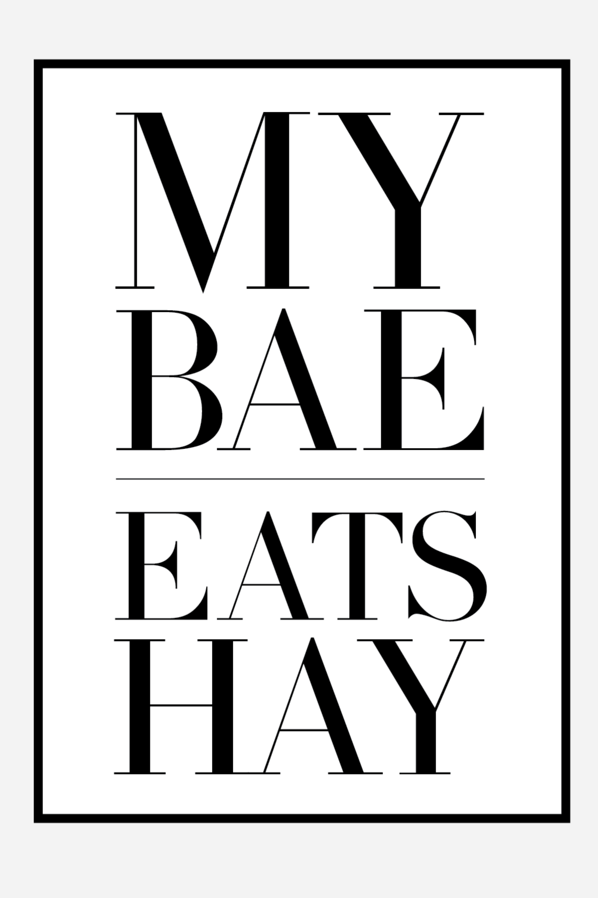 Stylish Equestrian My Bae Eats Hay Sticker