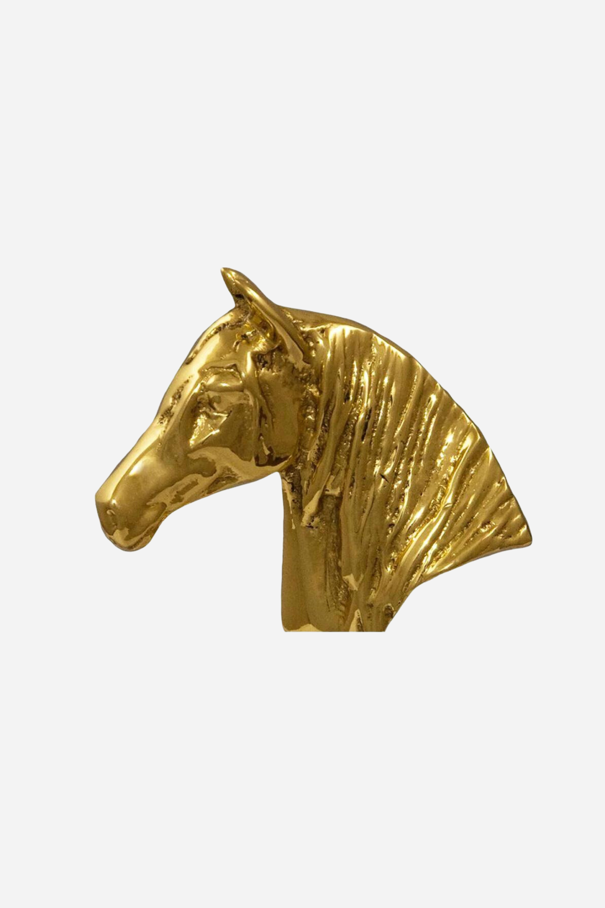 horse fare stylish equestrian stallion pull hardware